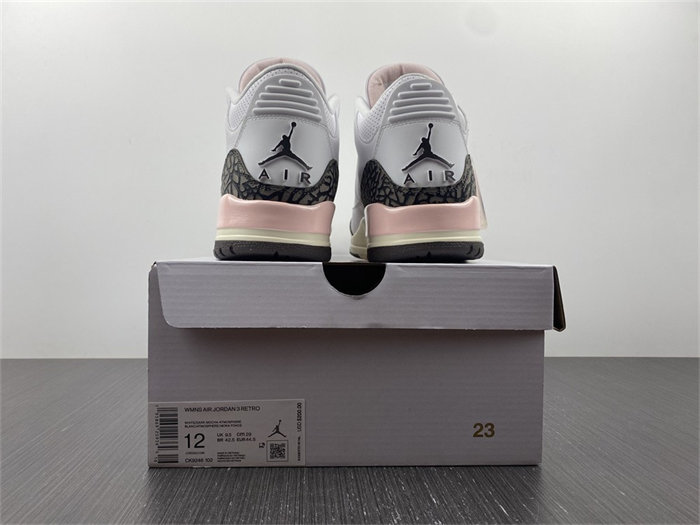 Jordan3 Neapolitan Dark Mocha CK9246-102