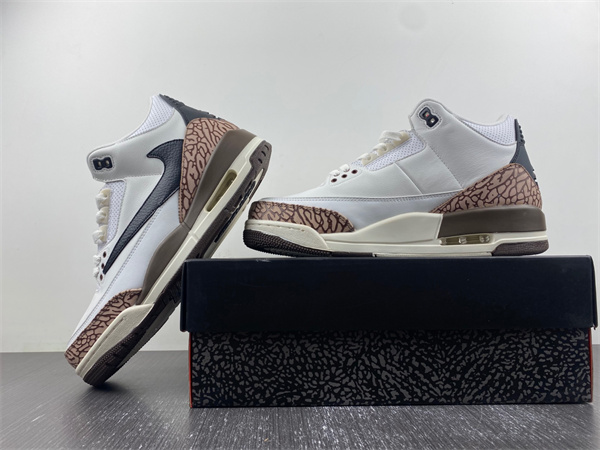 Travis Scott x Air Jordan 3
