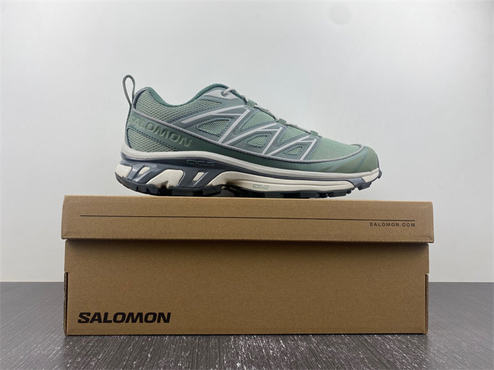 Salomon XT-6 47134