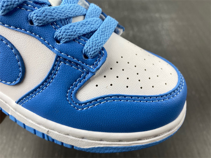 Nike Dunk Low UNC CW1588-103