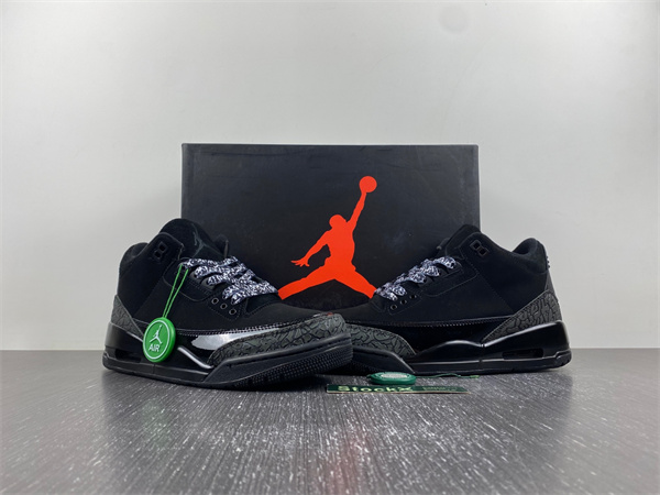 Air Jordan 3 Black cat
