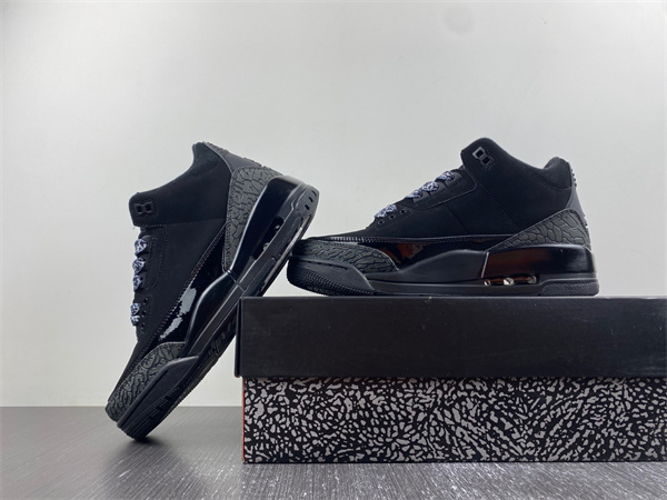 Air Jordan 3 Black cat