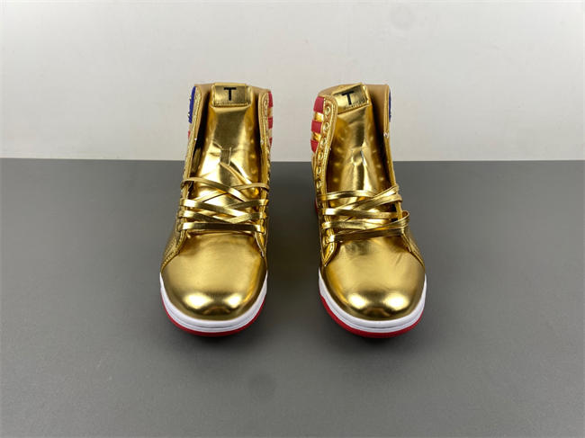 DONALD TRUMP NEVER SURRENDER