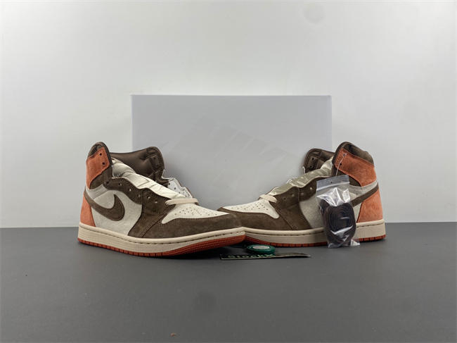 Air Jordan 1 High OG WMNS “Dusted Clay” FQ2941-200 22