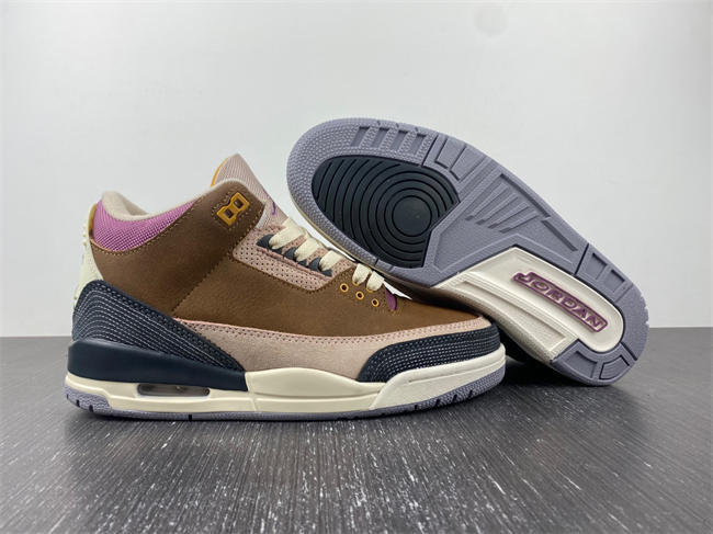 Air Jordan 3 Retro SE AJ3 DR8869-200