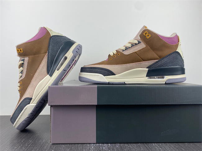 Air Jordan 3 Retro SE AJ3 DR8869-200