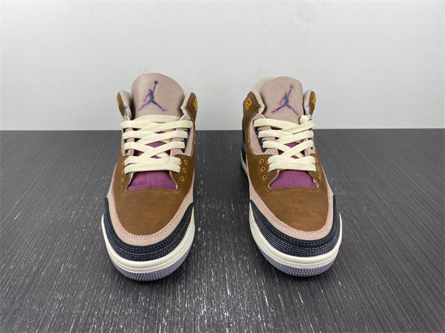 Air Jordan 3 Retro SE AJ3 DR8869-200