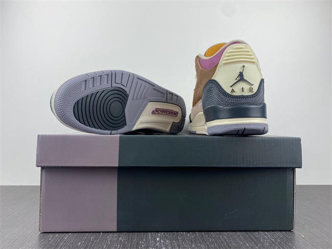 Air Jordan 3 Retro SE AJ3 DR8869-200