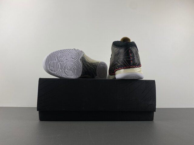 Titan x Air Jordan 23 CZ6222-001