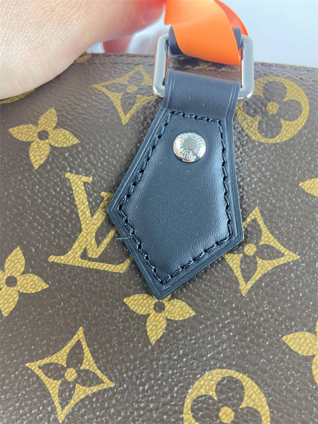 LV BAG